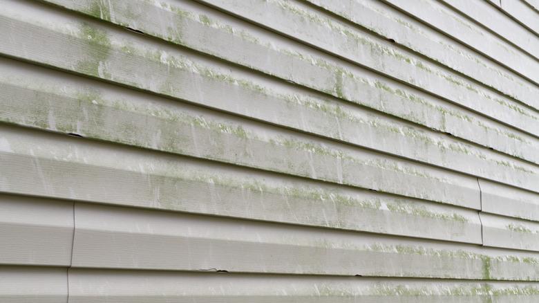 Siding before its cleaned