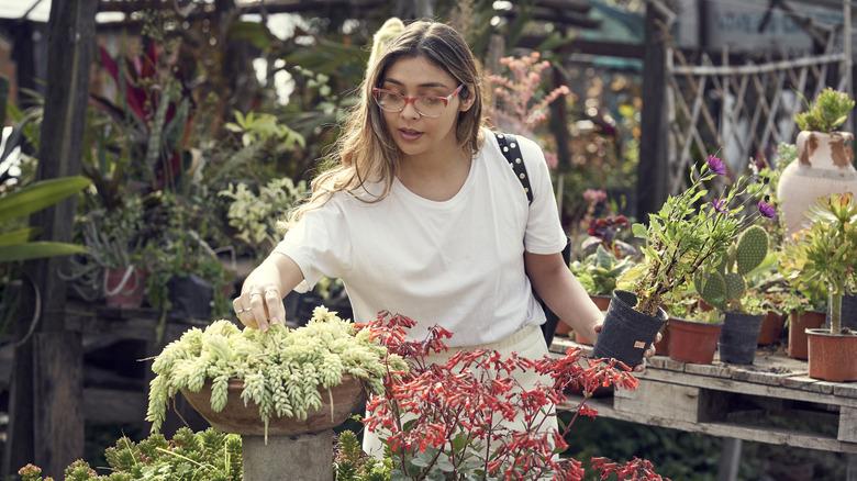 woman shopping at an open air plant nursery, holding one plant and touching a second