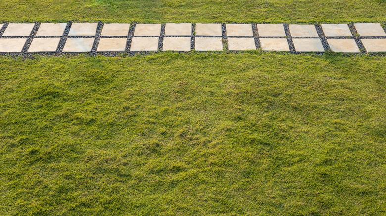 an uneven grassy yard with a paver pathway