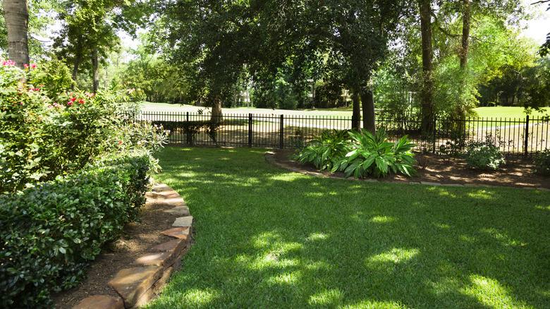 shady backyard with tree coverage and landscaping