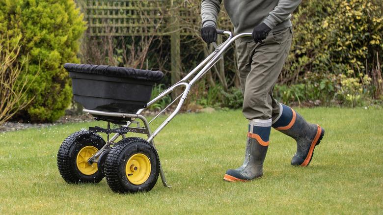 man applying fertilizer to yard with spreader