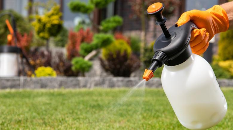 someone with an orange gloved hand sprays neem oil mixture on their lawn with a garden in the background.