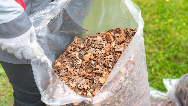 person holding plastic bag full of organic wood mulch in yard