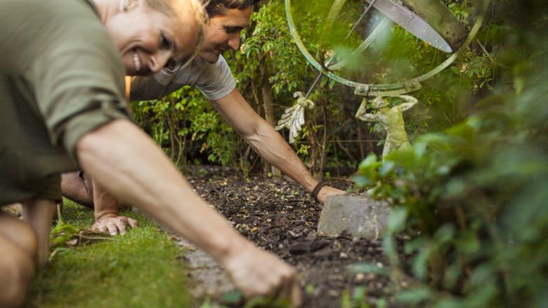 people removing plants from garden