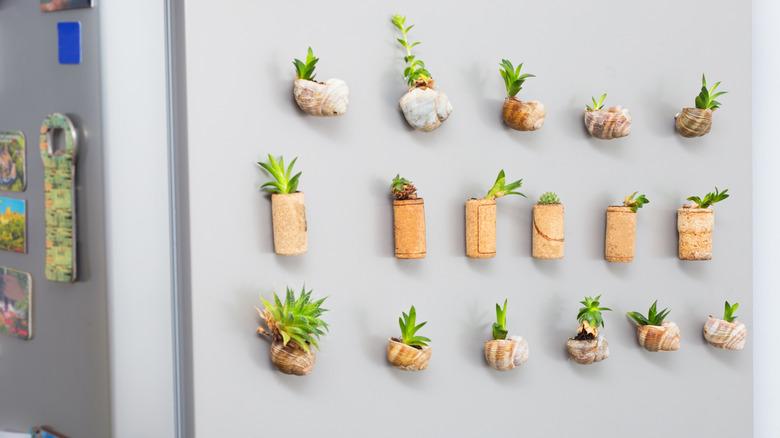 A series of small planter magnets on the side of a fridge.