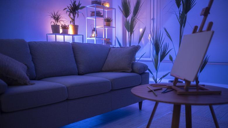 A living room with plants illuminated by a soft blue light