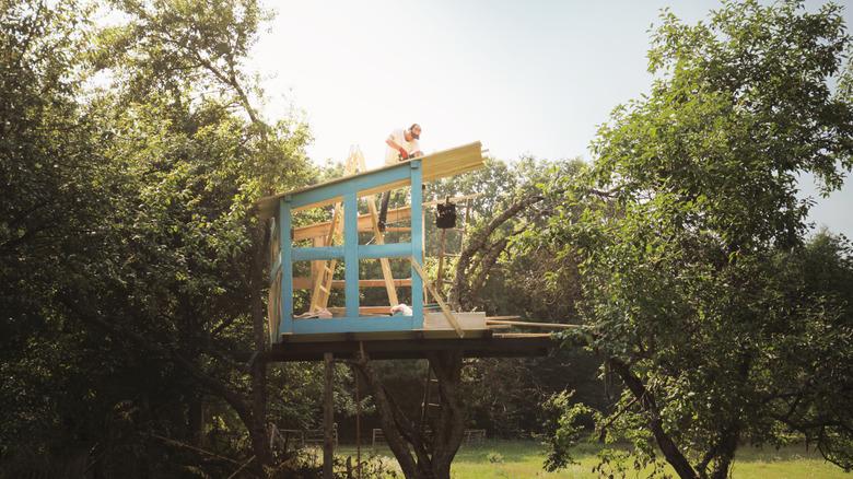 man building a blue frame to a treehouse in a large tree