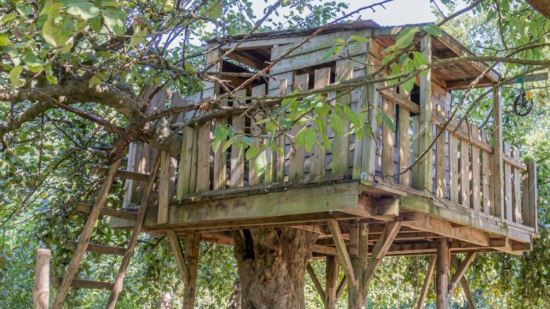 a simple treehouse with rails and fencing