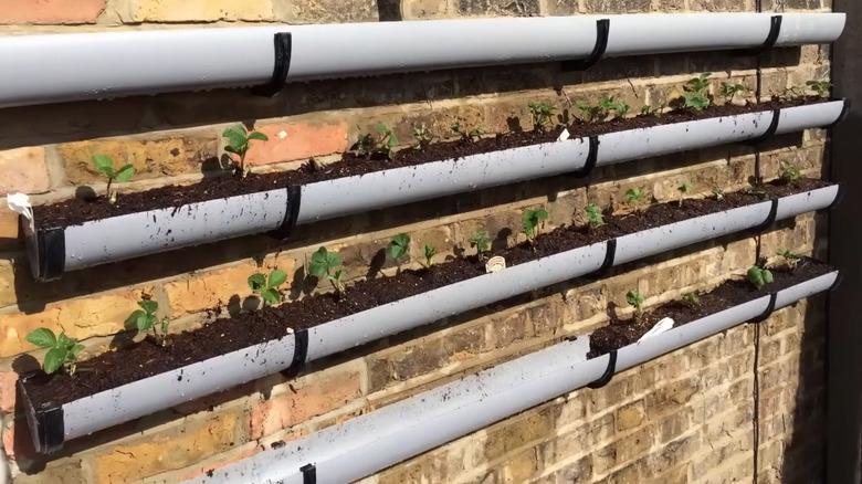Gutters used as planters