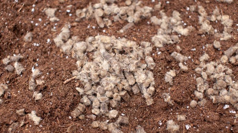 wool pellets spread into a patch of dirt