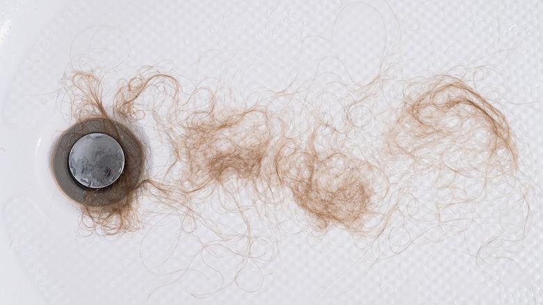a lot of shed hair caught in the drain of a tub