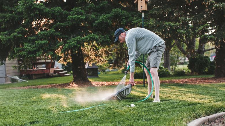 Man uses a garden hose to clean out a birdbath in his backyard while gardening.