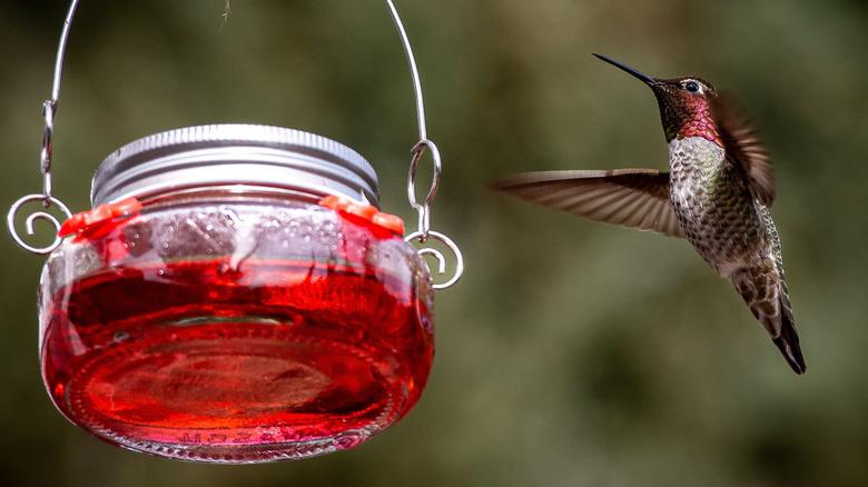 Homemade glass hummingbird feeder