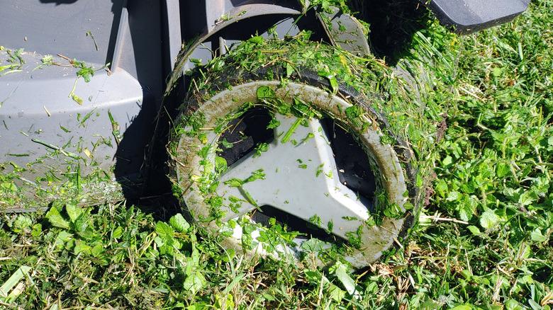 Clumping grass on lawn mower wheel from wet lawn