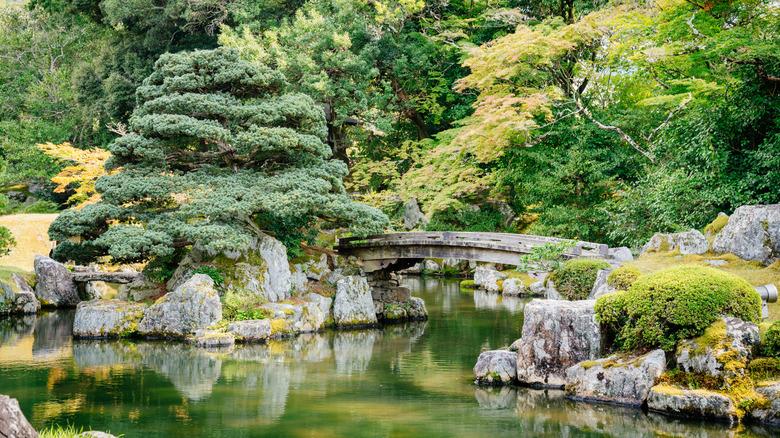A Kyoto garden's palette is composed mostly of greens