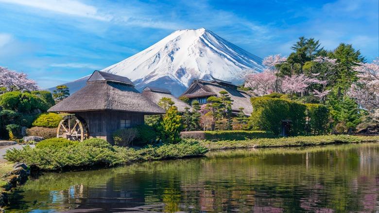 Buildings and stands of trees echo Mt. Fuji in the background of a Japanese garden