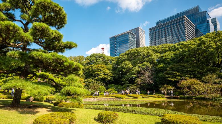 Trees in a Japanese garden screen the city beyond