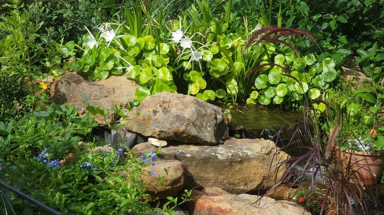 A Japanese garden waterfall almost hidden by surrounding plants