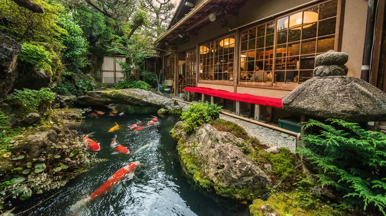 Koi pond by Kyoto restaurant