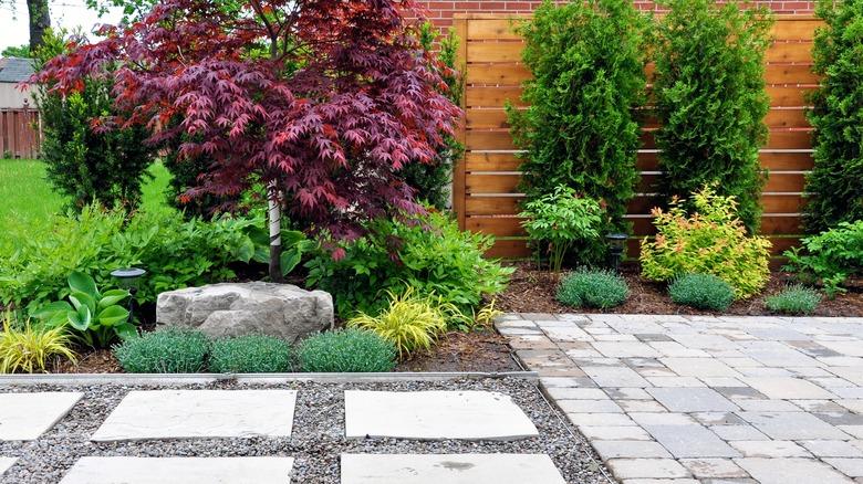 Japanese-style garden in a suburban backyard
