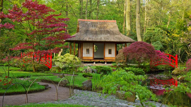 Tea house in a Japanese garden
