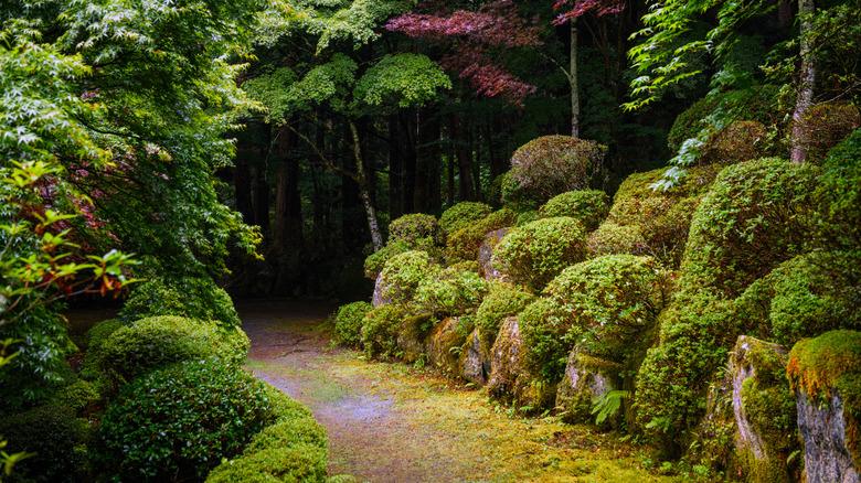 Pathway in a Japanese Garden